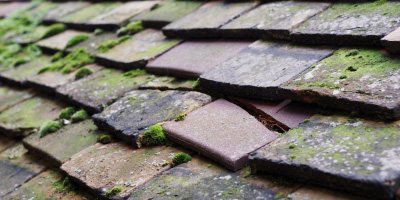 Pentrebach roof repair costs